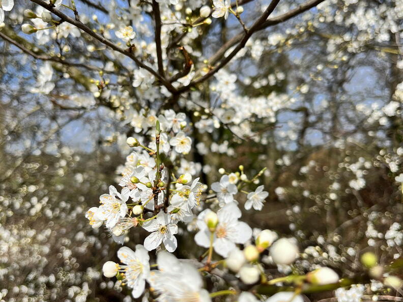 24-03-02 11-26-56 8885